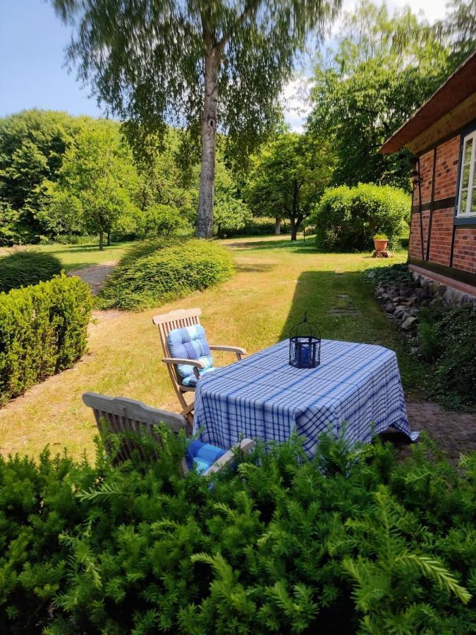 Chalet Forsthof Everstorf - Kleine Wohnung Grevesmuehlen Exteriér fotografie